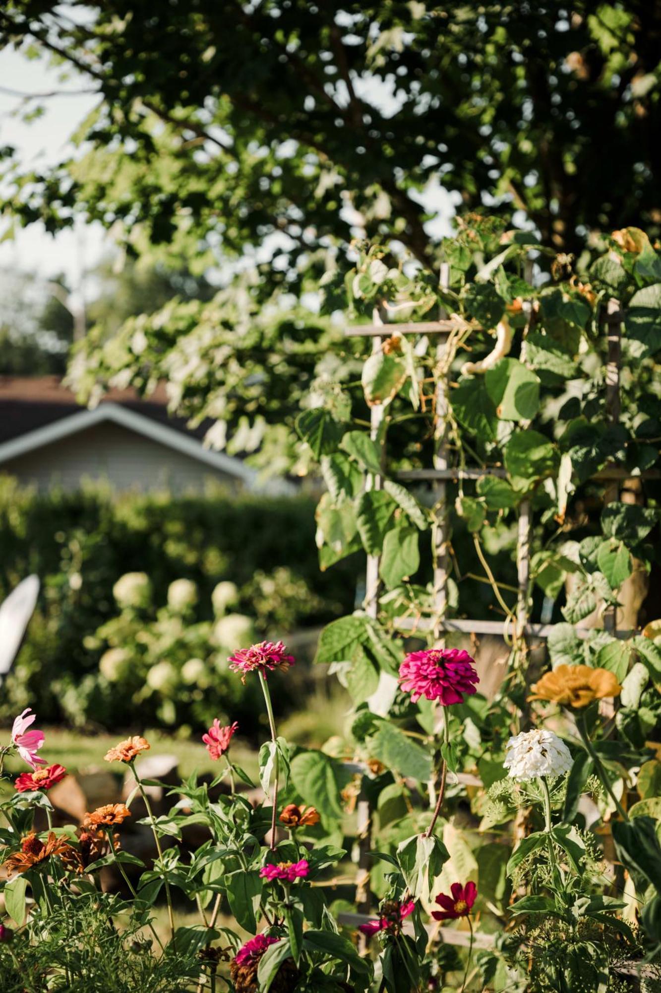 The Old Homestead - Gorgeous Backyard Right In The Heart Of Picton Buitenkant foto